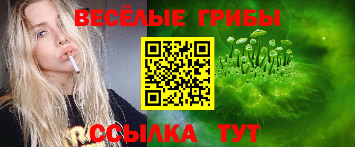 Балахна  Псилоцибиновые грибы ЛСД  Галлюциногенные грибы Psilocybe  Вход с VPN 