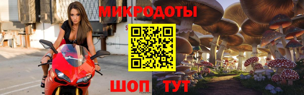 Псилоцибиновые грибы MAGIC MUSHROOMS Балахна